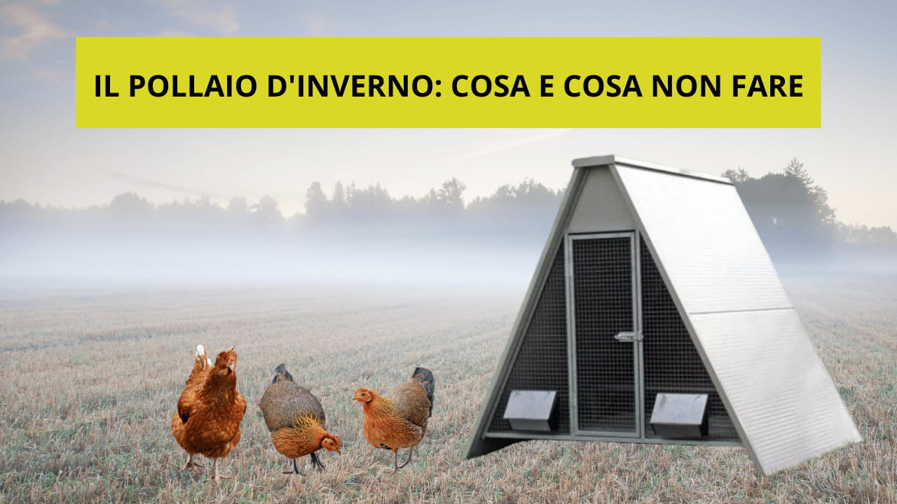 Riscaldatore Per Pollaio 140W - Per Animali Domestici, Anti-surriscaldamento, Esterno/Interno