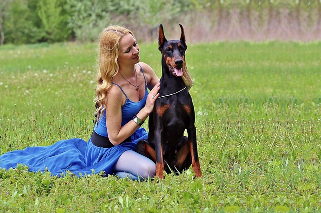 dobermann-affettuoso