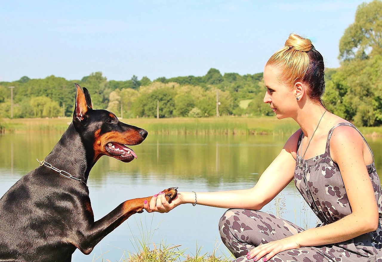 doberman-friend