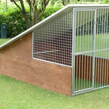 Dogs kennels