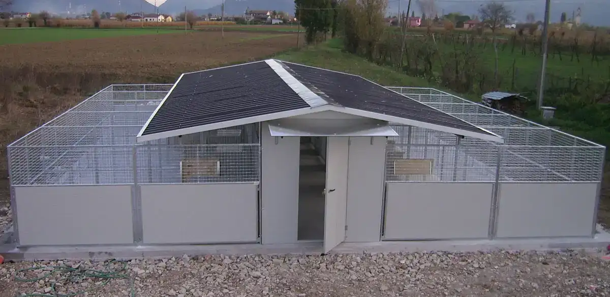 Professional outdoor dog kennels multi-unit installation