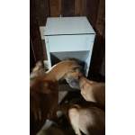 Photo from customer for Mangiatoia per cani automatica a tramoggia