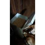 Photo from customer for Gravity dog feeder 10kg