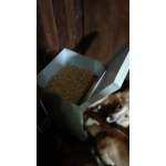 Photo from customer for Auto dog Feeder