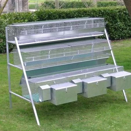  Cages for rabbits