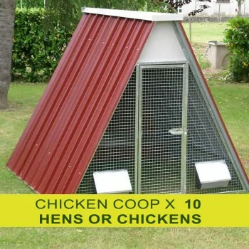Chicken coop for 10...