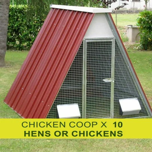 Chicken coop for 10 chickens or hens
