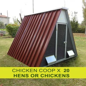 Chicken coop for 20 chickens or hens