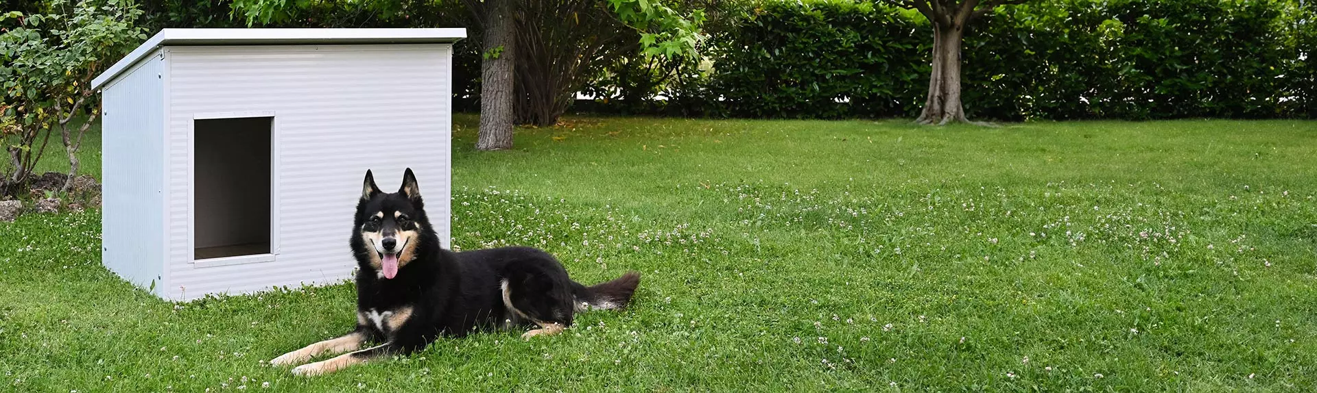 Online sale of dog kennels, insulated dog house, modular fences